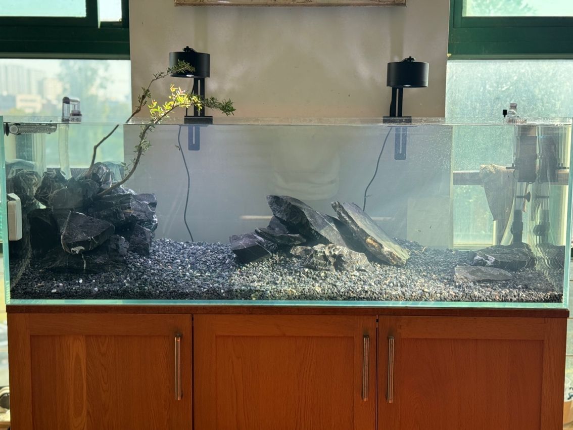 水草缸翻缸溪流… 龍魚論壇 第4張 水草缸翻缸溪流… 水草缸翻缸溪流… 龍魚論壇 第4張