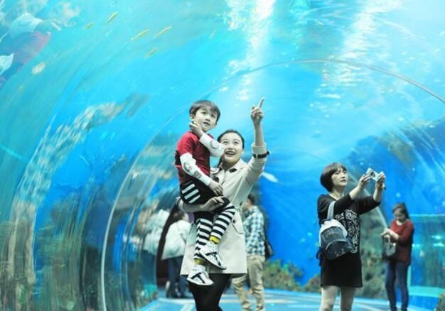 水族館盈利模式（水族館的盈利模式） 水族館盈利模式（水族館的盈利模式） 水族館百科（水族館加盟） 第5張