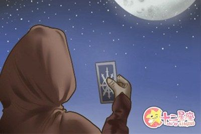 豬鼻龜的風水作用與禁忌：豬鼻子龜養護技巧