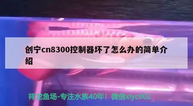 創寧cn8300控制器壞了怎么辦的簡單介紹