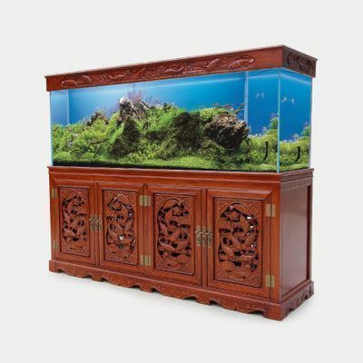 龍魚缸水ph值多少正常啊vs祥龍魚場：祥龍魚場龍魚缸水質管理技巧