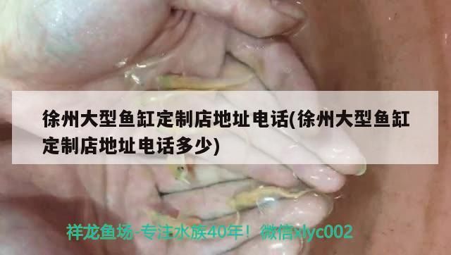 <strong><mark>徐州</mark></strong>大型魚缸定制店地址電話(<strong><mark>徐州</mark></strong>大型魚缸定制店地址電話多少)