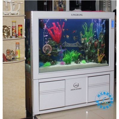 閩江水族和森森水族區別大嗎