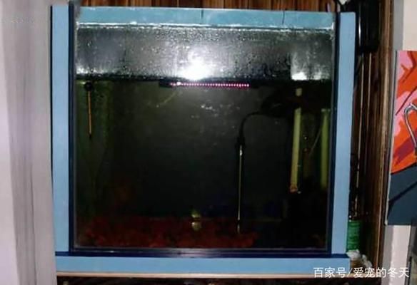 尼特利球和伊罕球（尼特利球和伊罕球哪個好）