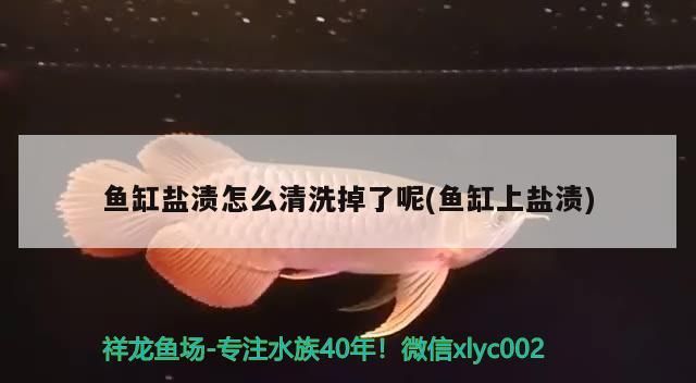 魚缸鹽漬怎么清洗掉了呢(魚缸上鹽漬)