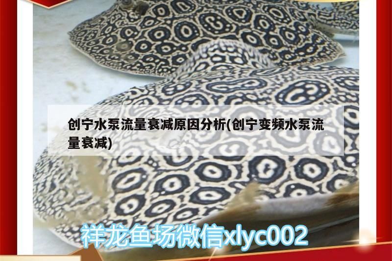 創(chuàng)寧水泵流量衰減原因分析(創(chuàng)寧變頻水泵流量衰減)