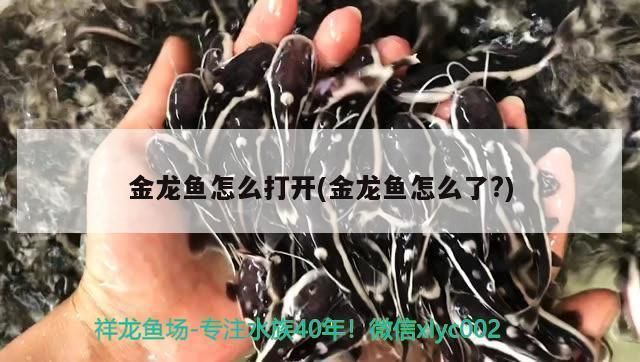 老魚匠水泵P與F代表什么(水泵pf什么意思)