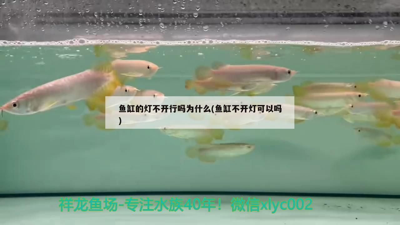 魚缸過濾系統原理圖玻璃和亞克力 魚缸過濾系統工作原理