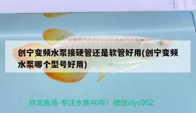 創寧變頻水泵接硬管還是軟管好用(創寧變頻水泵哪個型號好用)