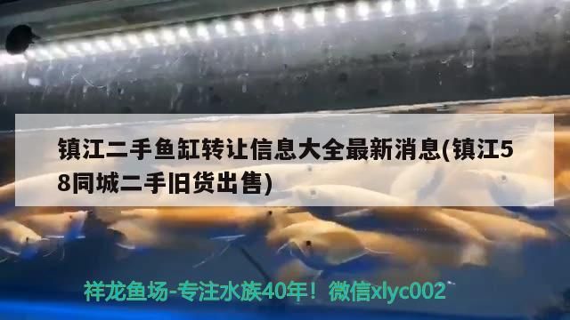 鎮江二手魚缸轉讓信息大全最新消息(鎮江58同城二手舊貨出售)