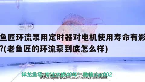 老魚匠環(huán)流泵用定時器對電機使用壽命有影響嗎?(老魚匠的環(huán)流泵到底怎么樣) 老魚匠環(huán)流泵用定時器對電機使用壽命有影響嗎?(老魚匠的環(huán)流泵到底怎么樣) 老魚匠