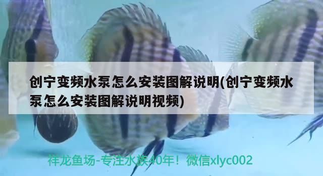 創寧變頻水泵怎么安裝圖解說明(創寧變頻水泵怎么安裝圖解說明視頻)