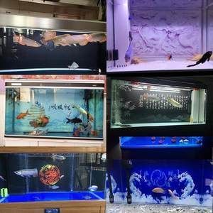 森森水族賣魚嗎