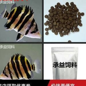 印尼虎魚一天喂幾次飼料:印尼虎魚喂食頻率主要取決于它們的年齡和飲食習(xí)慣 虎魚百科 第1張 印尼虎魚一天喂幾次飼料:印尼虎魚喂食頻率主要取決于它們的年齡和飲食習(xí)慣 印尼虎魚一天喂幾次飼料:印尼虎魚喂食頻率主要取決于它們的年齡和飲食習(xí)慣 虎魚百科 第1張