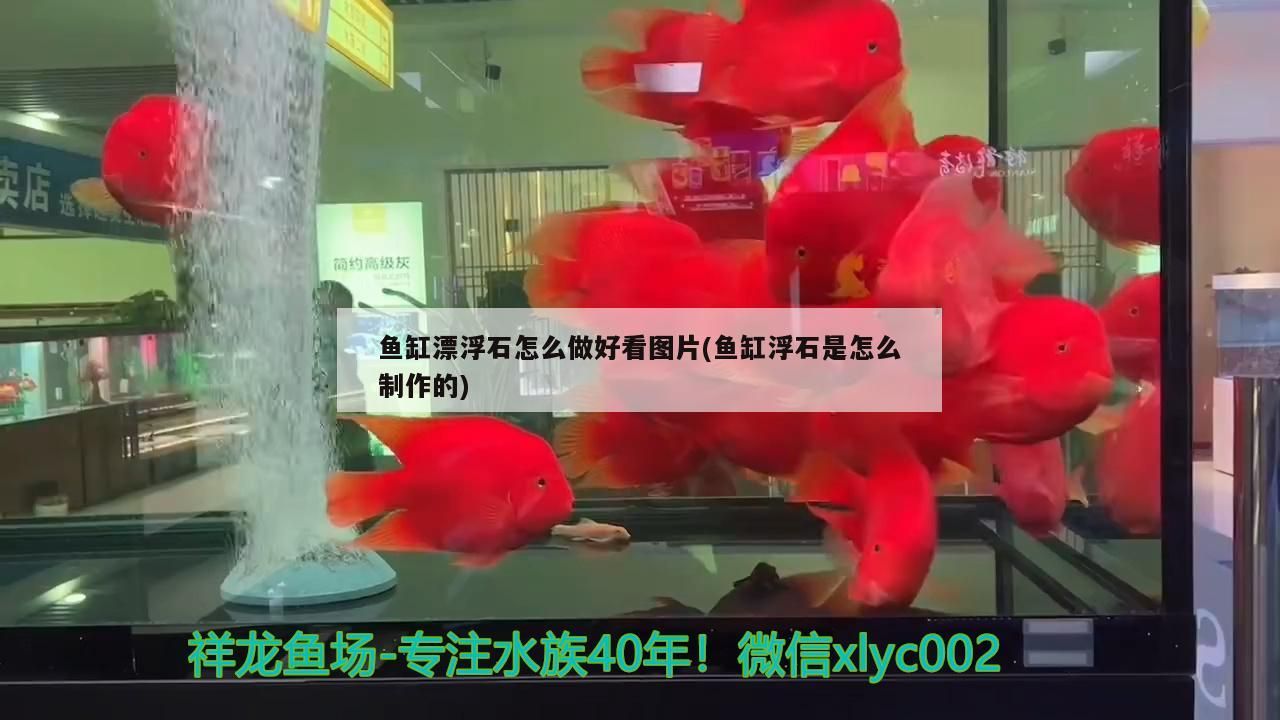 魚缸漂浮石怎么做好看圖片(魚缸浮石是怎么制作的)