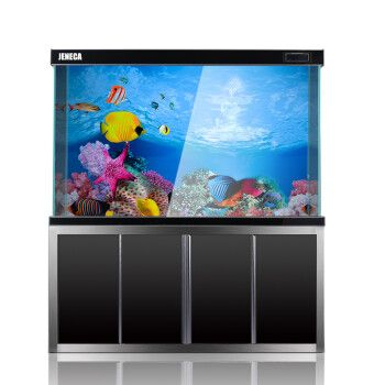 紅龍魚魚缸背景紙：紅龍魚幼年期飼養技巧：紅龍魚魚缸背景紙材質安全性對比