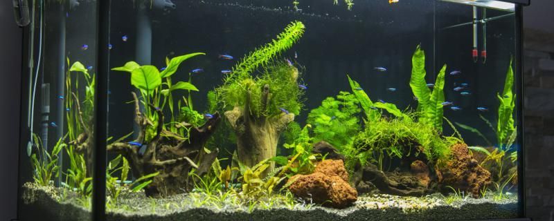 沖浪泵一天開(kāi)多長(zhǎng)時(shí)間沖浪泵有哪些作用