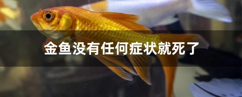 廣州街一貿易店