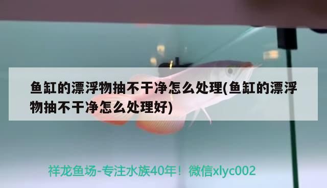 魚缸的漂浮物抽不干凈怎么處理(魚缸的漂浮物抽不干凈怎么處理好)
