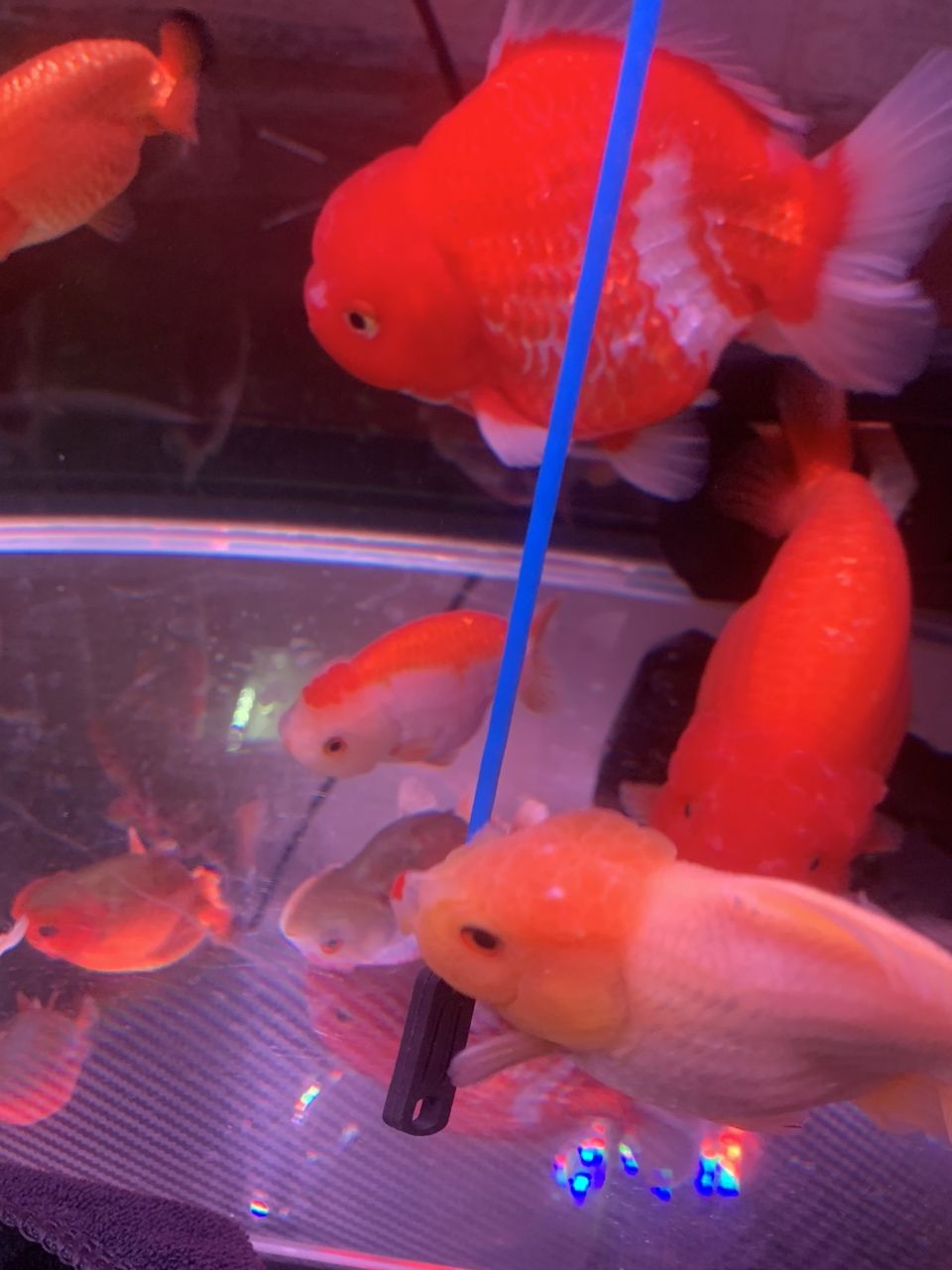 小白問題