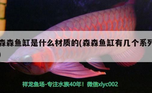 森森魚缸是什么材質(zhì)的(森森魚缸有幾個(gè)系列)