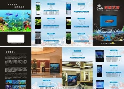 海鯨魚缸怎么樣養好（養好海鯨魚缸的關鍵）