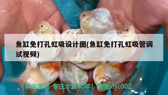 魚缸免打孔虹吸設計圖(魚缸免打孔虹吸管調(diào)試視頻)