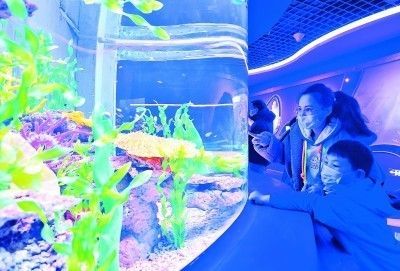 水族館運營管理：水族館的運營管理