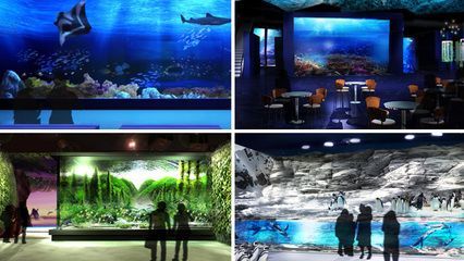 水族館運營管理：水族館的運營管理