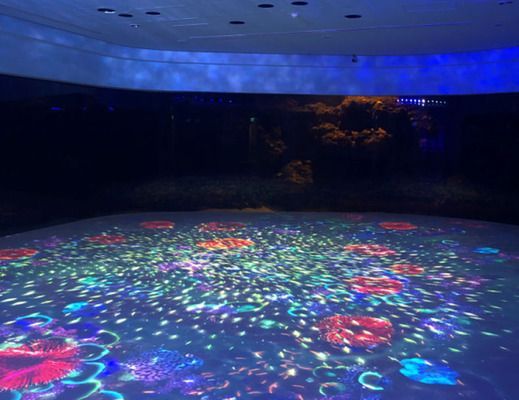 水族館項目概述怎么寫（水族館科普教育活動案例：水族館項目概述詳情撰寫方法）