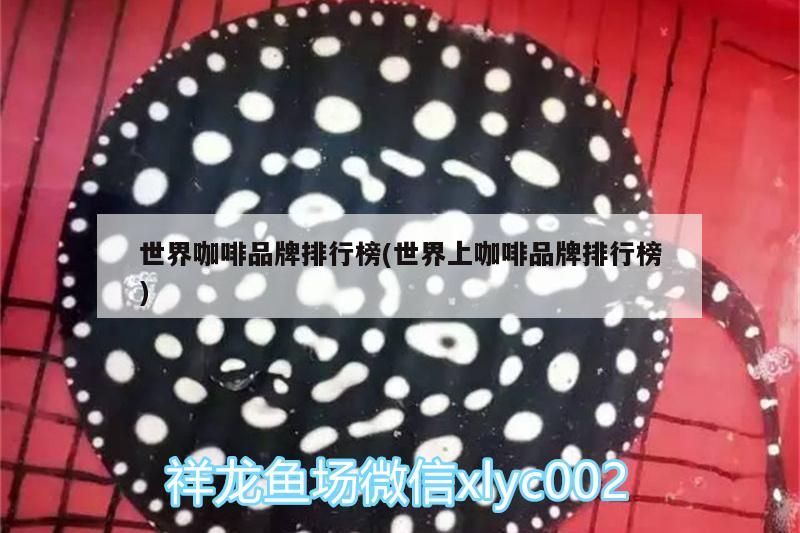龍魚干蝦有營養嗎 世界咖啡品牌排行榜(世界上咖啡品牌排行榜) 馬來西亞咖啡 世界咖啡品牌排行榜(世界上咖啡品牌排行榜) 世界咖啡品牌排行榜(世界上咖啡品牌排行榜) 馬來西亞咖啡