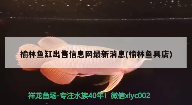 榆林魚(yú)缸出售信息網(wǎng)最新消息(榆林魚(yú)具店)