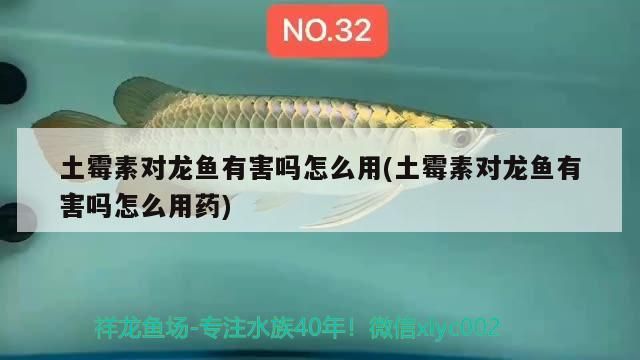 土霉素對龍魚有害嗎怎么用(土霉素對龍魚有害嗎怎么用藥)