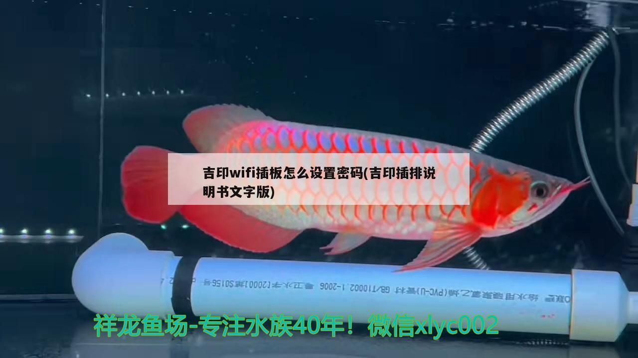 吉印wifi插板怎么設(shè)置密碼(吉印插排說明書文字版)