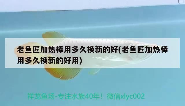 老魚匠加熱棒用多久換新的好(老魚匠加熱棒用多久換新的好用)
