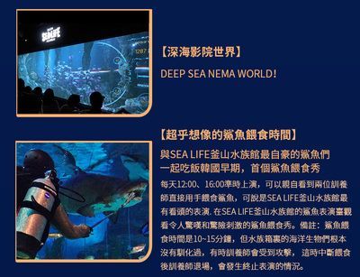水族館是做什么的：水族館是一個(gè)專門用于展示水生動(dòng)物的機(jī)構(gòu)