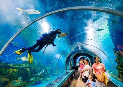水族館是做什么的：水族館是一個(gè)專門用于展示水生動(dòng)物的機(jī)構(gòu)