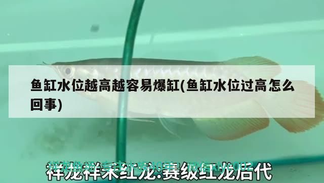 魚缸水位越高越容易爆缸(魚缸水位過高怎么回事)