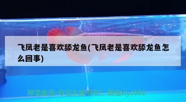 如何制作大型魚缸視頻教程
