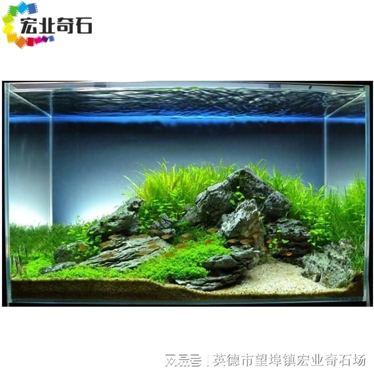 森森和吉印水草燈（森森水族燈）