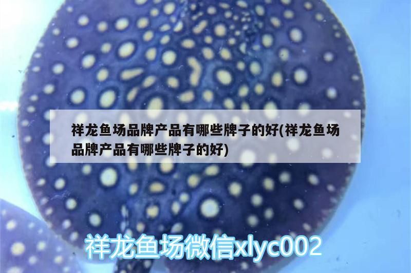 祥龍魚場品牌產品有哪些牌子的好(祥龍魚場品牌產品有哪些牌子的好)