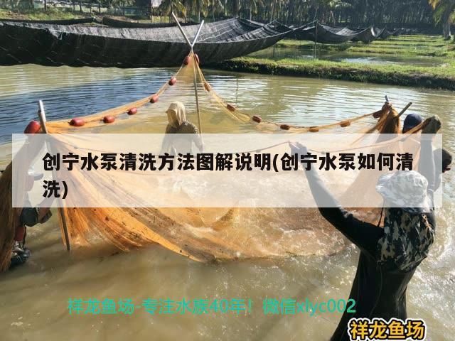 創寧水泵清洗方法圖解說明(創寧水泵如何清洗)
