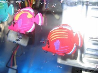 水族館現在行情怎么樣了（水族館市場增長驅動力探究水族館行業市場競爭現狀）