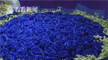 花卉市場批發玫瑰花價（玫瑰花價格因多種因素而異）