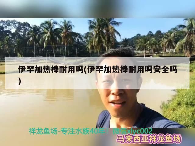 伊罕加熱棒耐用嗎(伊罕加熱棒耐用嗎安全嗎)