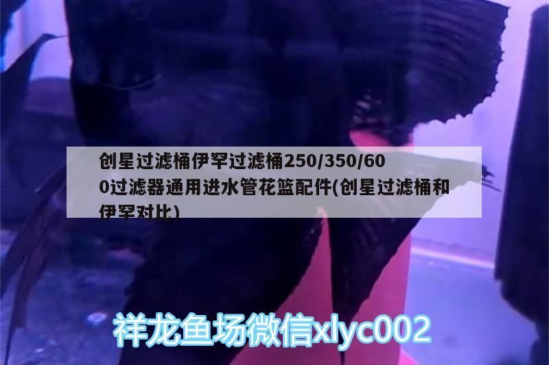 創星過濾桶伊罕過濾桶250/350/600過濾器通用進水管花籃配件(創星過濾桶和伊罕對比)