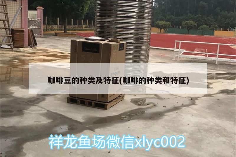 咖啡豆的種類及特征(咖啡的種類和特征)