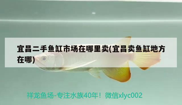 宜昌二手魚缸市場(chǎng)在哪里賣(宜昌賣魚缸地方在哪) 宜昌二手魚缸市場(chǎng)在哪里賣(宜昌賣魚缸地方在哪) iwish愛唯希品牌魚缸
