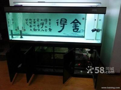 魚缸背景圖怎么撕下來，如何撕下魚缸背景圖