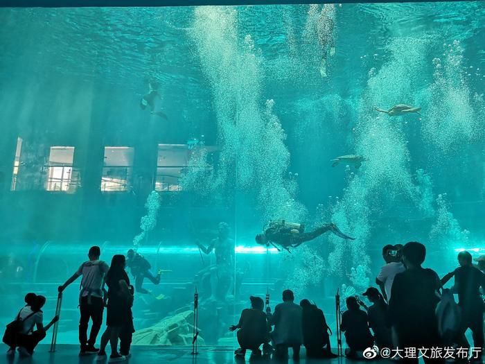 水族館投資大概多少？：開個水族館需要多少費用